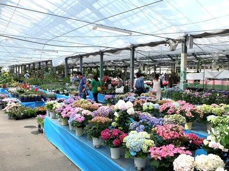 4.2022_05_05国華園IMG_4131 (5)mnnn.JPG