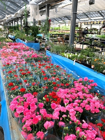 6.2022_05_05国華園IMG_4131 (15)nnn.JPG